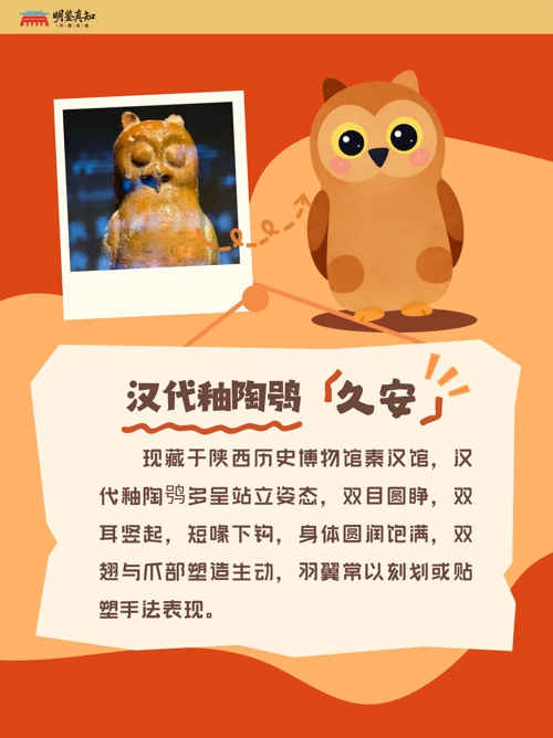 宠物故事 (小红书封面)(1)_05.jpg