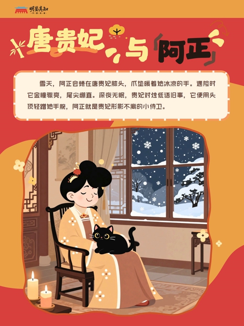 宠物故事 (小红书封面)(1)_06.jpg