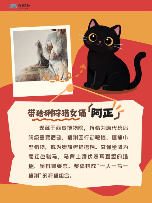 宠物故事 (小红书封面)(1)_07.jpg