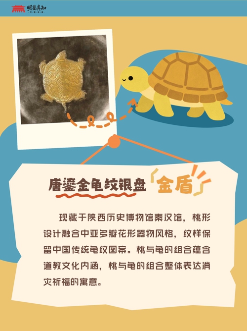 宠物故事 (小红书封面)(1)_09.jpg