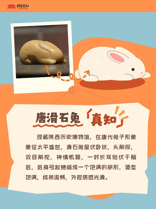 宠物故事 (小红书封面)(1)_11.jpg