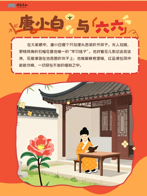 宠物故事 (小红书封面)(1)_12.jpg