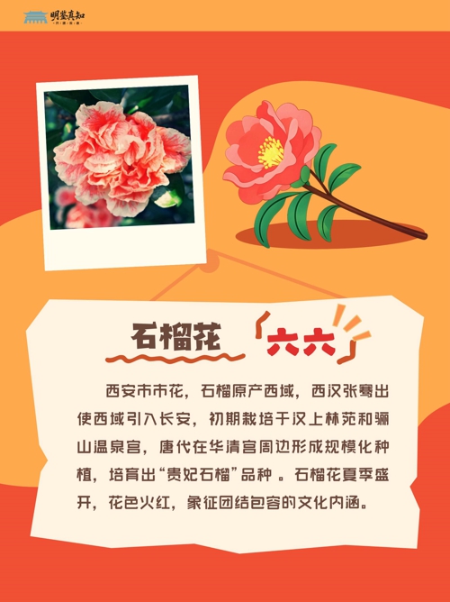 宠物故事 (小红书封面)(1)_13.jpg